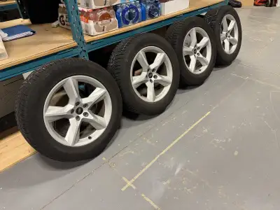 I purchased from Uptown Audi last year their winter tire package. It came with four 19 inch OEM Audi...
