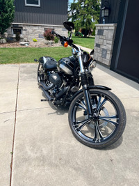 2016 Harley Davidson Custom