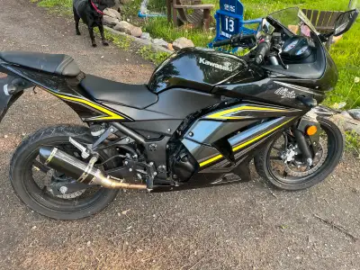 Grate beginner bike. Has sticker on windshield but will come off no problem. Fresh oil change. insta...