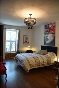 Furnished Bedrooms for Students/Young Professionals in a Mansion