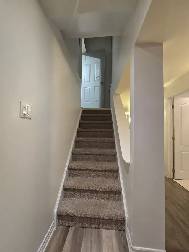 1 BD / 1 BTH Spacious Basement Apartment in Churchill Meadows62864748998659122