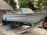 18 FOOT Aluminum Boat with 115 Evinrude Outboard
