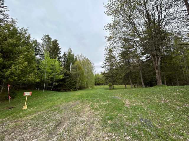 Terre boisée dans Terrains à vendre  à St-Georges-de-Beauce - Image 4