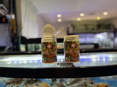 Royal menu fish/discus food amazing fresh ingredients, View more