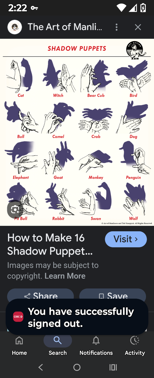 A Shadow play show in Hamilton64744837552258120