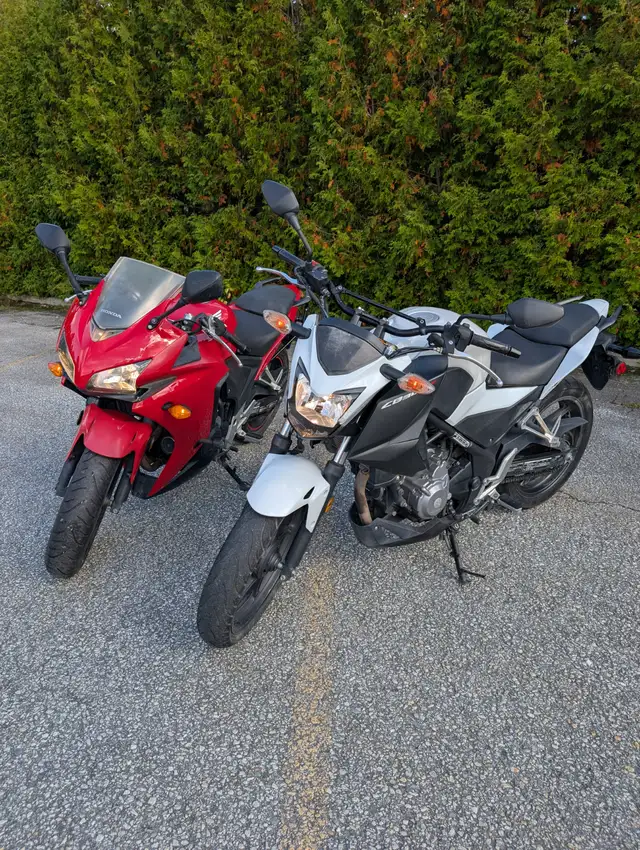 Honda CBR500R et CB300F in Sport Touring in Thetford Mines - Image 2