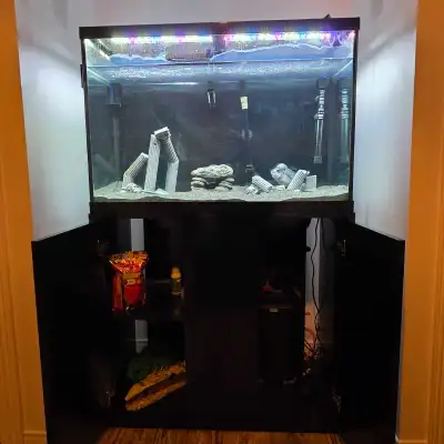 aquarium 65 gallon full equipé comme neuf, View more