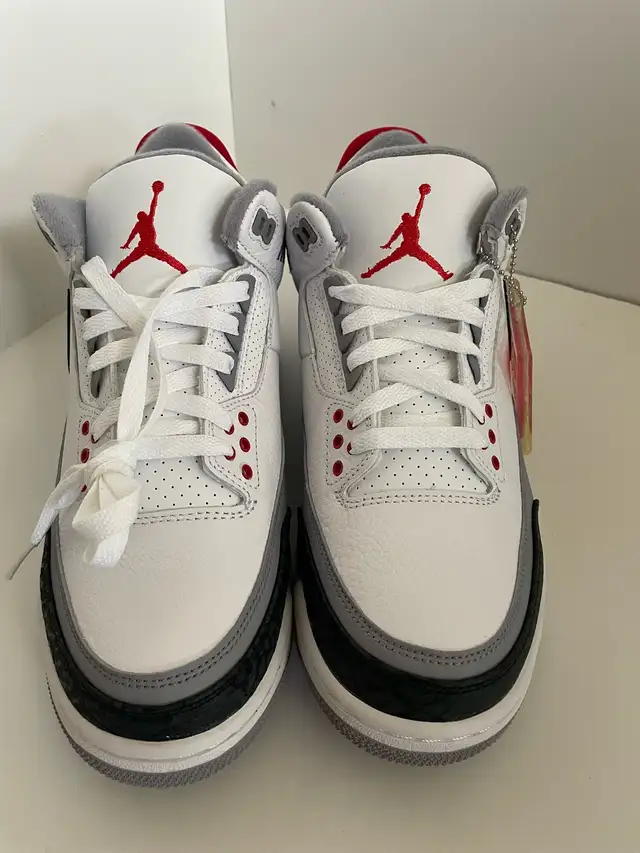 Jordan 3 Tinker Hatfield NRG 2018 (Men) in Men's Shoes in City of Toronto - Image 4