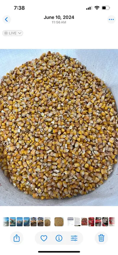 Animal feed , View more