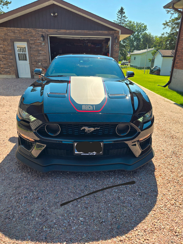 2023 Mach 1 in Cars & Trucks in Sudbury