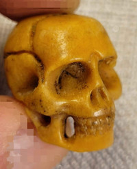 Ens. 6 crânes d'os bovins naturels. ¾" bone carved Skulls.