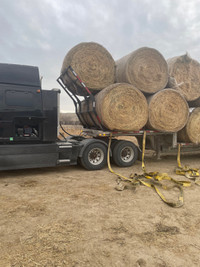 Bales For Sale 