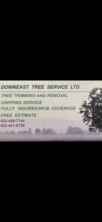 Tree removal and chipping 