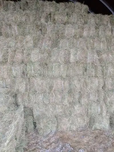 new small square hay, View more