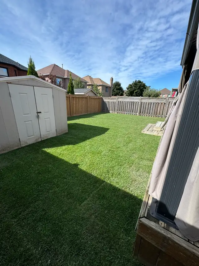 SOD INSTALL - NEW GRASS!63008305251073123