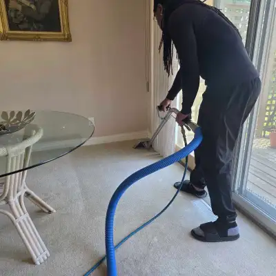 Dirty Carpets? We Bring Them Back to Life, View more