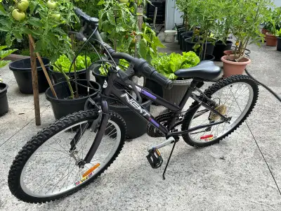 Kijiji mtb hotsell