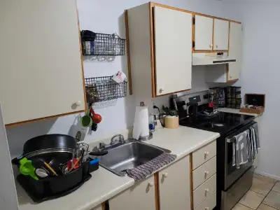 appartement 1 chambre