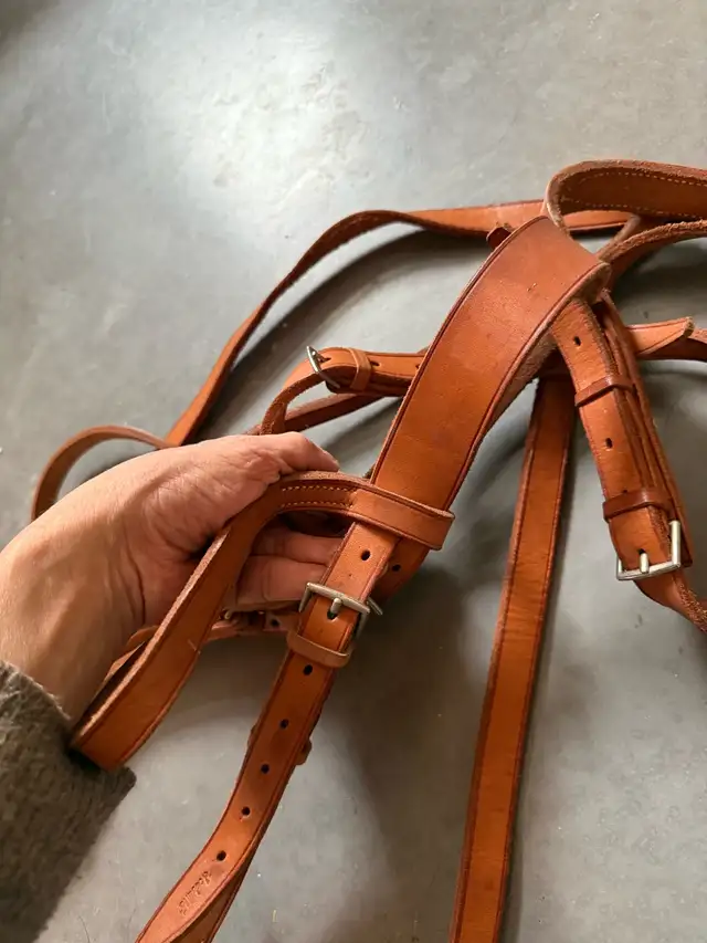 Bride de Cheval en cuir et corde d’attache in Equestrian & Livestock Accessories in Laurentides - Image 6
