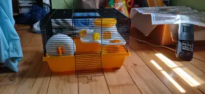Cage pour souris toute équipée + souris, View more