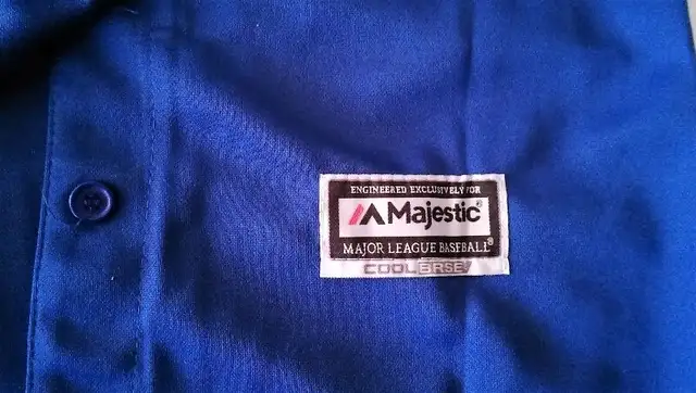 Blue Jays Jersey - Goins 17 - Women's M - Brand New Never Worn in Baseball & Softball in City of Toronto - Image 7
