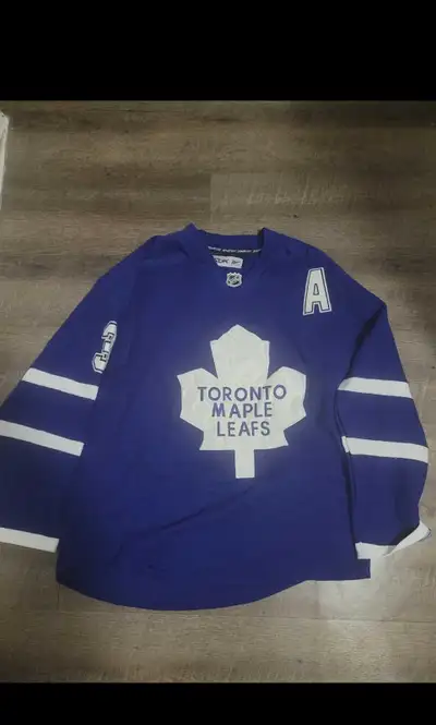 Toronto Maple Leafs Jersey Phaneuf , View more