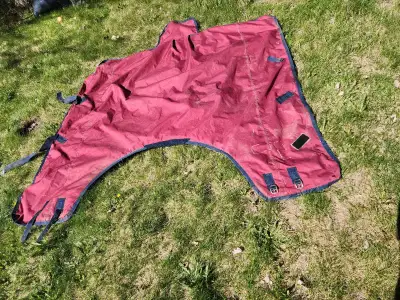 Horse Blanket, View more