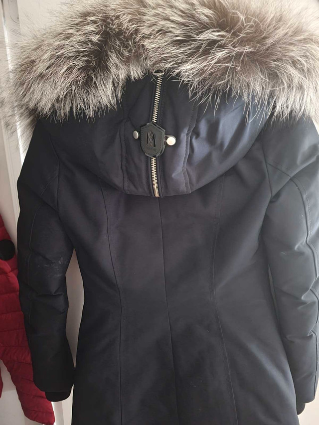 Mackage women xxs winter jacket in Women's - Tops & Outerwear in City of Toronto - Image 2