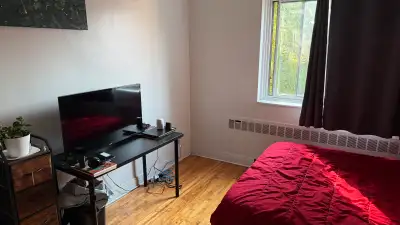 Chambre à louer