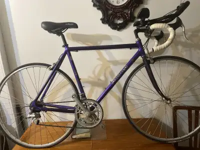 road bike Aquila12 speed vintage, View more