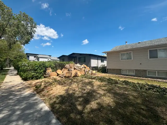 Tree Removal/Pruning62863241137155123
