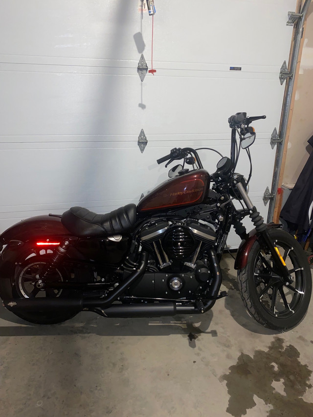 Harley davidson sportster 883xl 2019 in Touring in Gatineau - Image 4