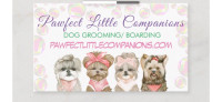 Small Dog Daycare, Boarding & Grooming