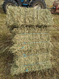 2023 1st Cut Small Square Hay Bales 