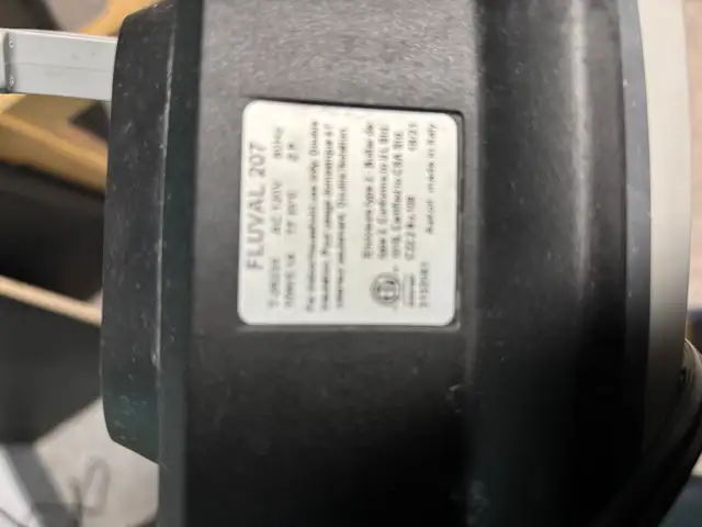 60g fish tank in Fish for Rehoming in Lethbridge - Image 6