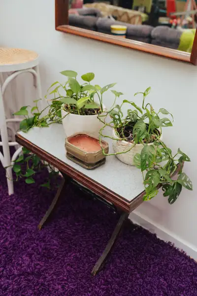 1960s Atomic Laminate Folding Plant Table, View more