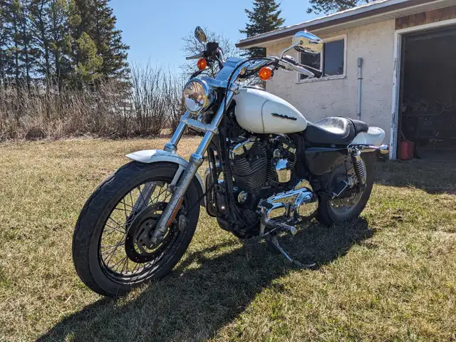 2006 Harley Davidson 1200 Sportster in Street, Cruisers & Choppers in St. Albert - Image 2
