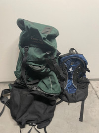Backpacking bags 