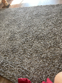  Charcoal carpet
