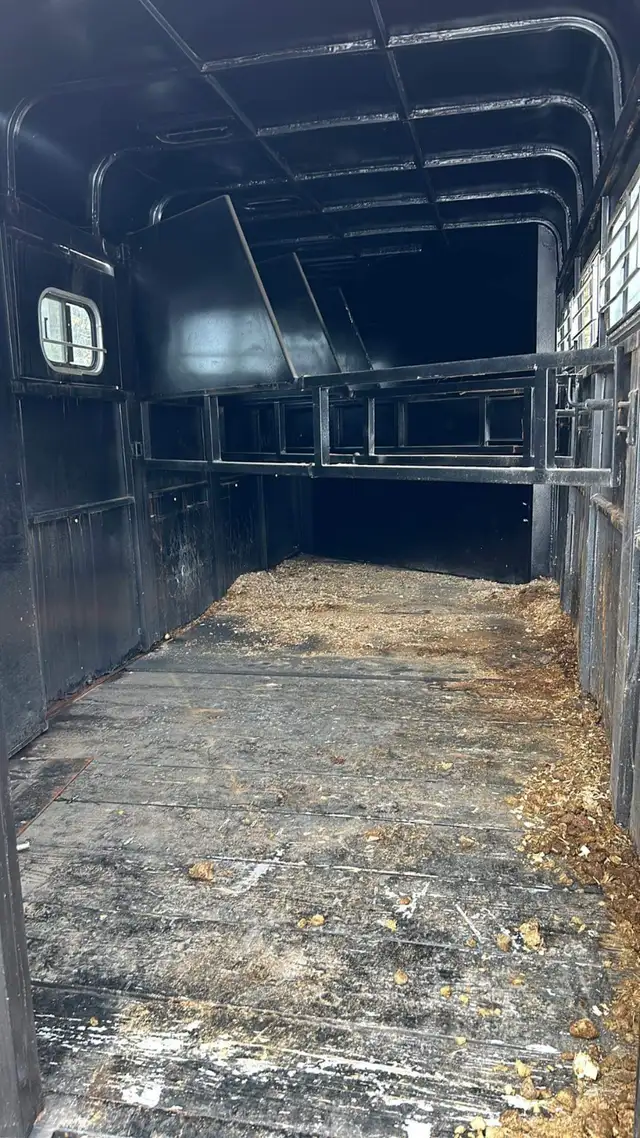 Remorque Chevaux 4places in Accessories in Lanaudière - Image 4