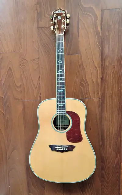 Beautiful limited edition Washburn, View more