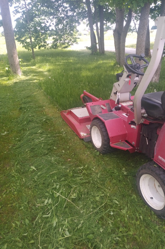 Simcoe County Tall Grass and Weed Cutting (416) 570 5456 Lawn, Tree