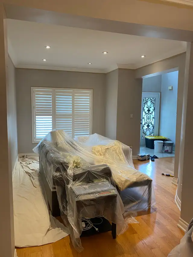 professional painter605033189134848001
