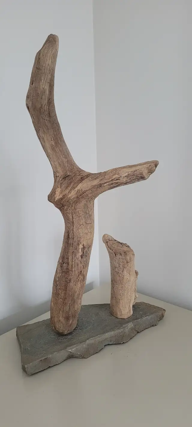 Bois Flotté Accessoire sur base Aquarium Driftwood w/base in Hobbies & Crafts in Laval / North Shore - Image 10