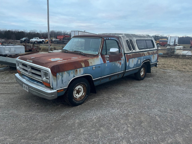 Dodge Ram d100  in Cars & Trucks in Norfolk County