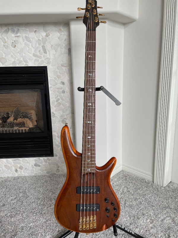 Ibanez Sound Gear Premium 5 String Bass with Hard Case Guitars