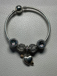 Pandora Bangle with 2 kinds of charms (to be sold separately)
