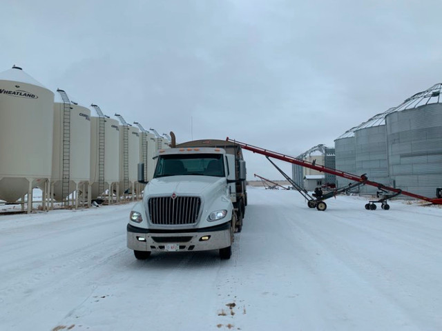 Truck Driver - Class 1 Grain Farm - Fulltime, Permanent in Drivers & Security in Edmonton