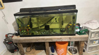 90 gallon fish tank will big filter 