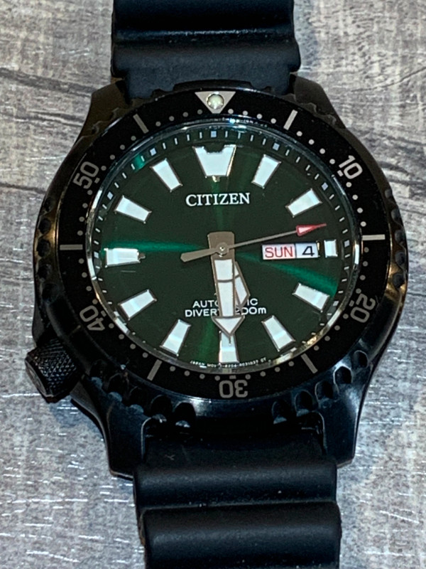 Citizen Promaster NY0155-07X Fugu automatic dive watch in Jewellery & Watches in Hamilton